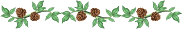 pinecone-branch.gif