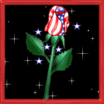 usa-rose.gif